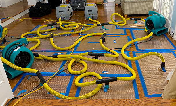 Professional Burst Pipe Water Damage technician working in Immaculata, PA
